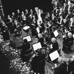 Cinema Symphony Orchestra