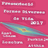 Concert de presentació Formes Diverses de Vida 2017