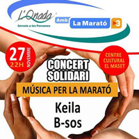 Concert solidari 'Música per la Marató' - 2015 La Ràpita