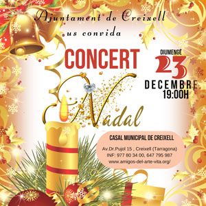 Concert de Nadal a càrrec de l'Orquestra Auris Ensemble