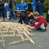 Cordes, nusos i altres embolics