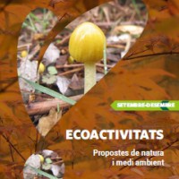 curs, És temps de bolets, natura, tardor, ecoactivitats, Lleida, octubre, 2016, Surtdecasa Ponent