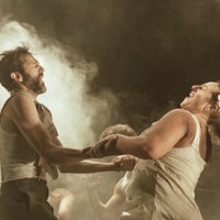 Lleida, Llotja, Teatre, Espectacle, Danzad malditos, febrer, 2017, Surtdecasa Ponent