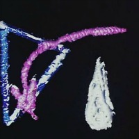 Dia Internacional del Patrimoni Audiovisual