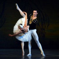 El llag dels cisnes, ballet, espectacle, dansa, Cervera, gener, 2017, Surtdecasa Ponent