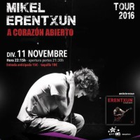 concert, Mikel Erentxun, música, en directe, tour 2016, novembre, Manolita, Lleida, Segrià, Surtdecasa Ponent