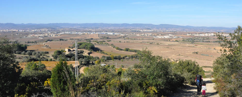 Vistes del Penedès a l'hivern