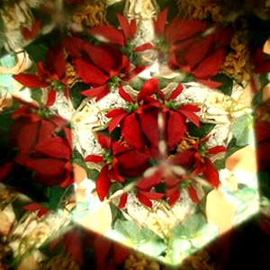 Exposició ‘Explora Calidoscopis’ al CaixaFòrum de Girona