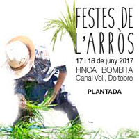 Festes de l'Arròs - Deltebre 2017 - Plantada
