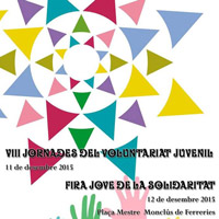 Fira Jove de la Solidaritat 2015 - Tortosa 