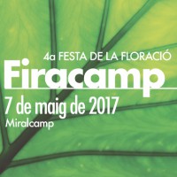 Firacamp