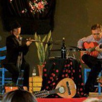 concert, festival flamenco, música, Surtdecasa Ponent, 2016