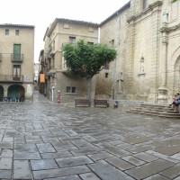 visita, visita guiada, visita guiada nocturna, nit, Guissona, Ponent, Lleida, Surtdecasa Ponent, cicle de visites, agost, 2016