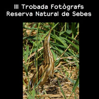 III Trobada de fotògrafs - Reserva natural de Sebes Flix 2016