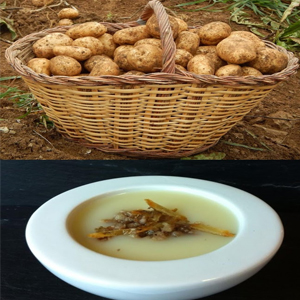 Jornades Gastronòmiques de la Trumfa, Trumfa