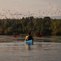 Caiac - Riu Ebre - Terra Enllà 