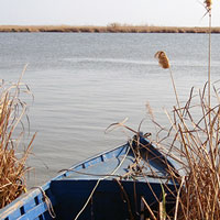 Barca a una llacuna del Delta de l'Ebre