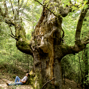 Llibre ‘Caminant per l’altra Garrotxa’ d’Esteve Serra