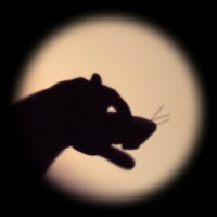 Taller 'Mans, llums i ombres'