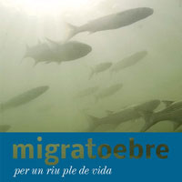 Exposició 'Migratoebre. Per un riu ple de vida' 