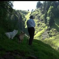 Mòstra de Cinèma Occitan 2015