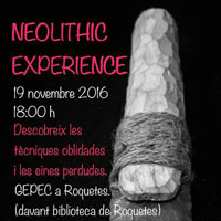 Neolithic Experience