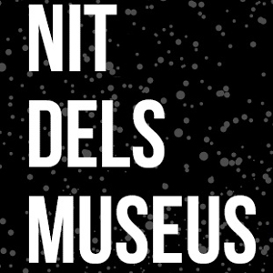 Nit dels Museus