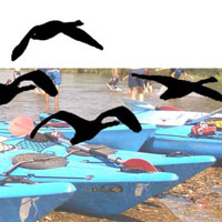 Ornitocaiac Delta de l'Ebre - GEPEC Lo Caro 2017