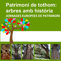 Patrimoni de tothom: arbres amb història