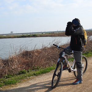 Pedalant per la bassa