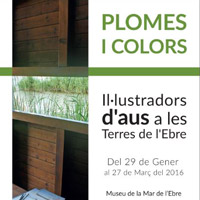 Exposició 'Plomes i colors' 