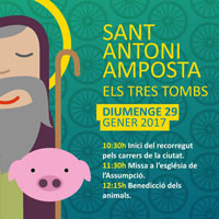 Sant Antoni - Amposta 2017