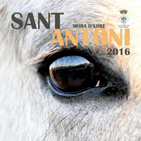 Festa Major d'Hivern - Móra d'Ebre 2016 - Sant Antoni 