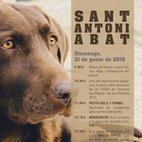 Sant Antoni - Santa Bàrbara 2016 