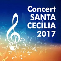 Concert de Santa Cecília - l'Aldea 2017