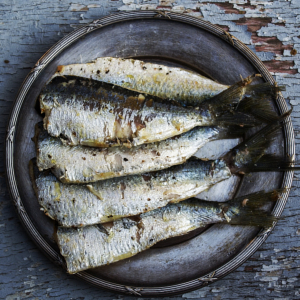 Sardines