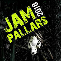 La Jam Pallars se celebra a Montardit de Baix