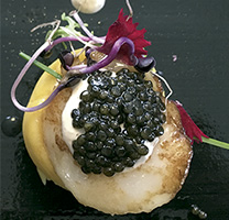 Caviar produit a la Val d'Aran, sota la marca Nacarii