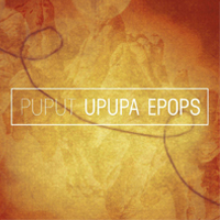 Puput, Upupa Epops