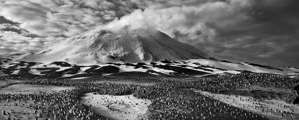 Sebastiao Salgado