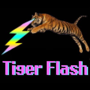 Concert de Tiger Flash