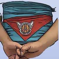 XV Trobada de Falcons de Catalunya