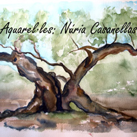 Exposició 'Un mar d'oliveres' de Núria Casanelles