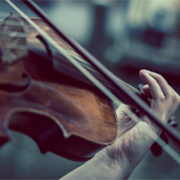violí