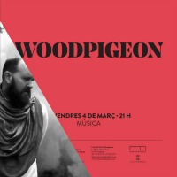 Woodpigeon