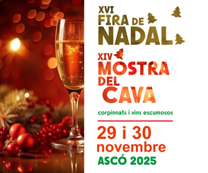 Fira de Nadal Ascó 2025