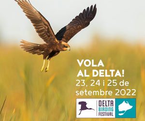 Delta Birding Festival 2022