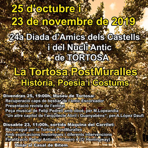 24a Diada d'Amics dels Castells i del Nucli Antic de Tortosa - 2019