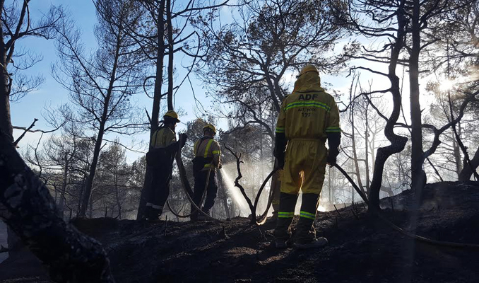 Voluntaris de les ADF en un incendi al Penedès