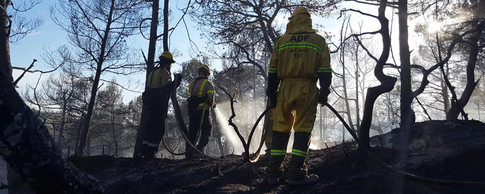 Voluntaris de les ADF en un incendi al Penedès